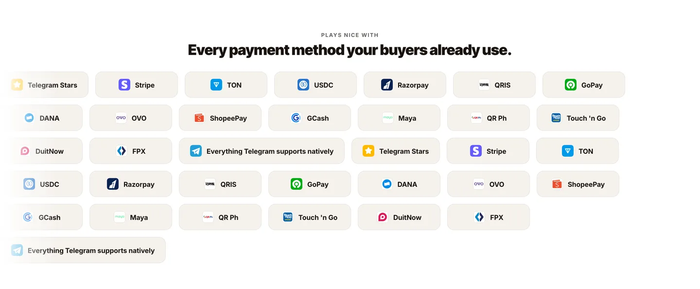 Every payment method on the Tiny Shops homepage